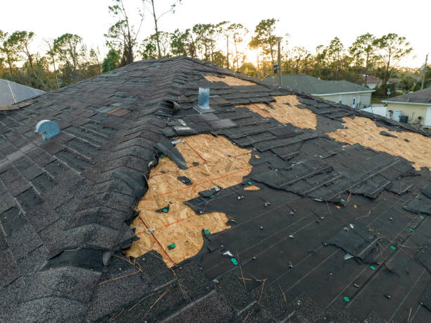 Best Flat Roofing  in Park Forest, IL